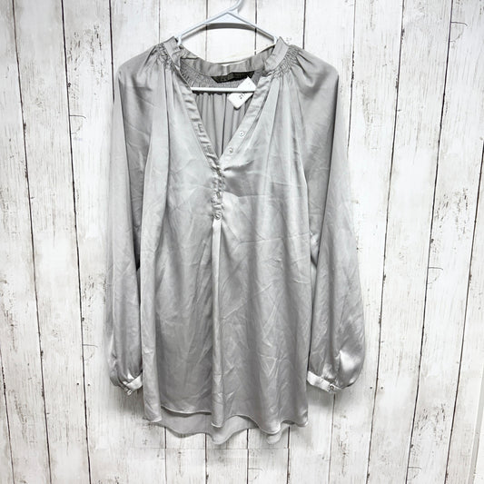 Zara Basic Top Women Sz XS Satin Button Front Long Sleeve Blouse Silver V Neck